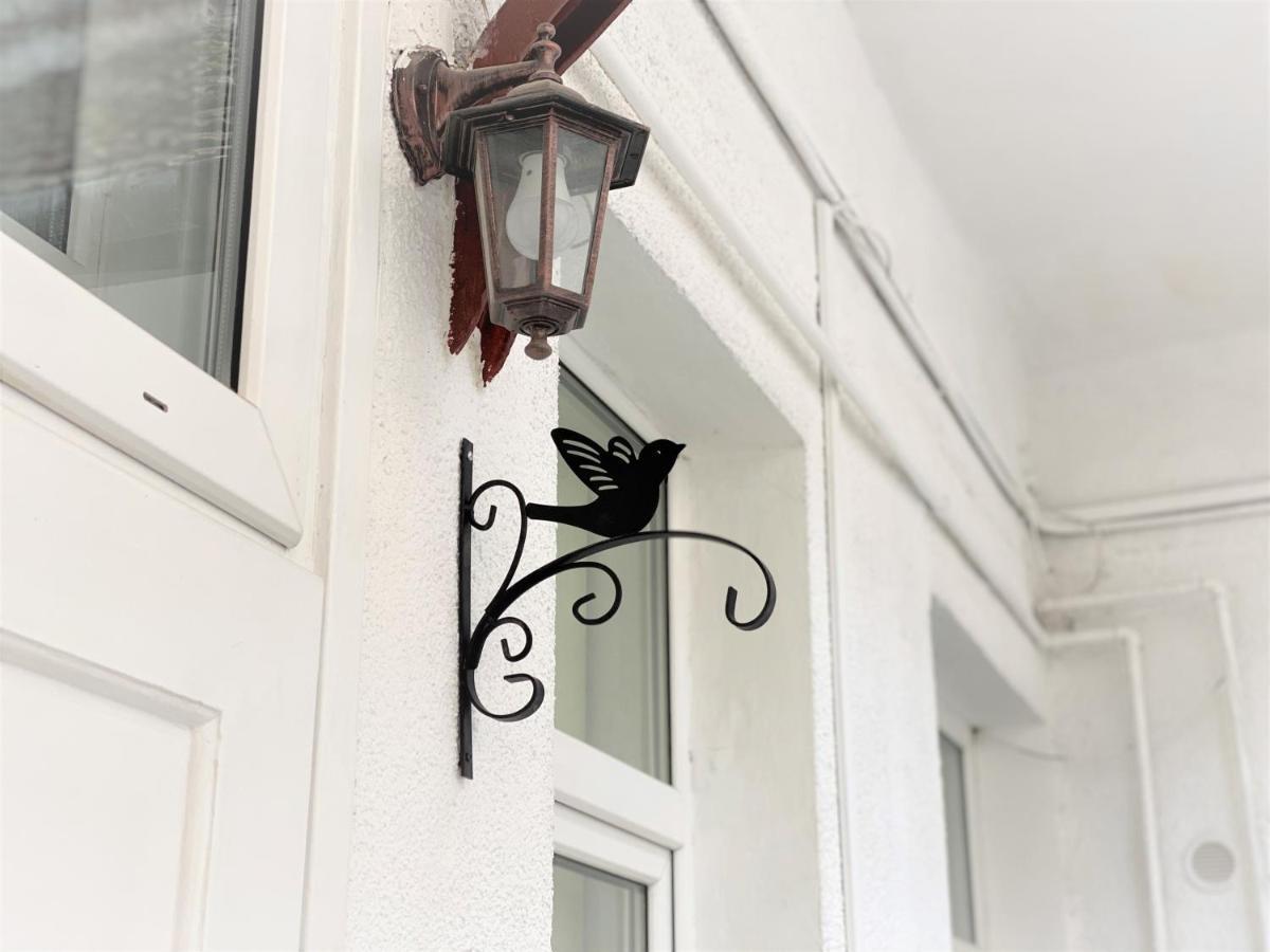 Appartamento The Old Town Nest Braşov Esterno foto